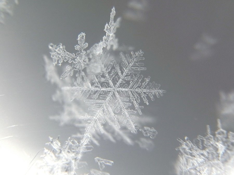 Schneekristalle Schneekristalle